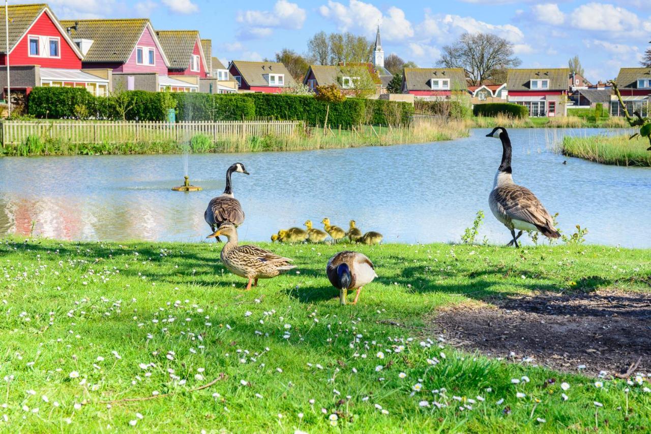 Grimaud 141 - Kustpark Village Scaldia Hoofdplaat Экстерьер фото